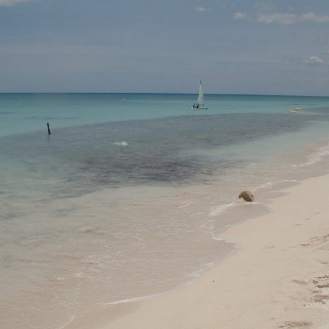 PIC00041 PIC00041
