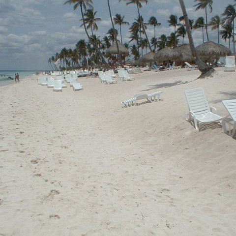 PIC00043 PIC00043