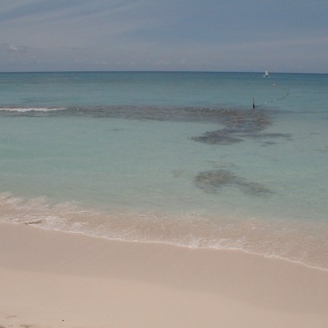 PIC00051 PIC00051