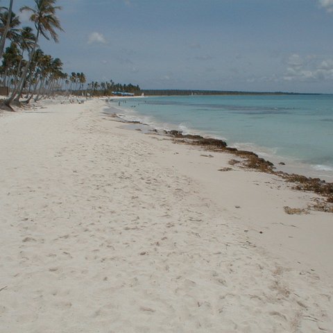 PIC00006 PIC00006