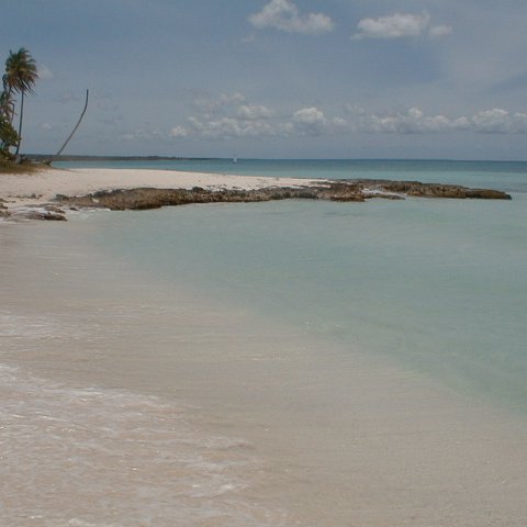 PIC00009 PIC00009