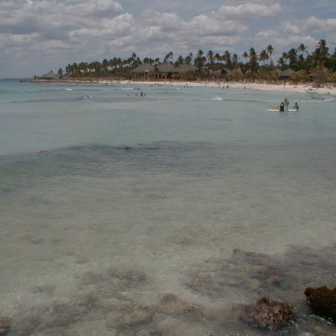 PIC00018 PIC00018