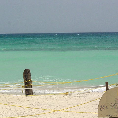 dsc00093 dsc00093