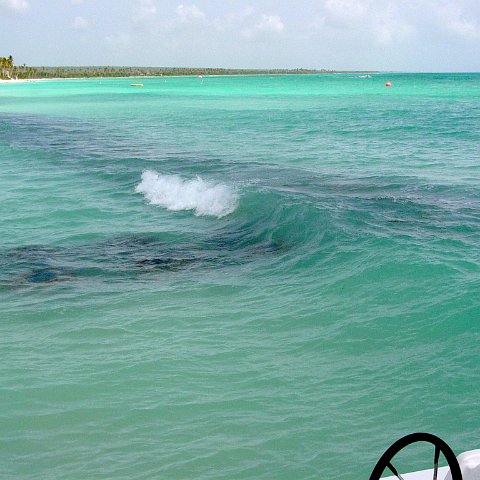 dsc00100 dsc00100