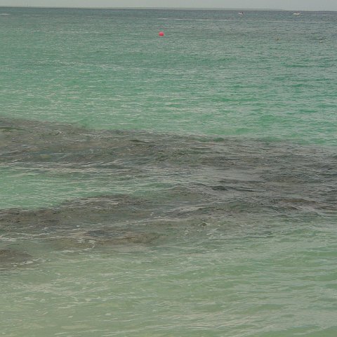 dsc00185 dsc00185