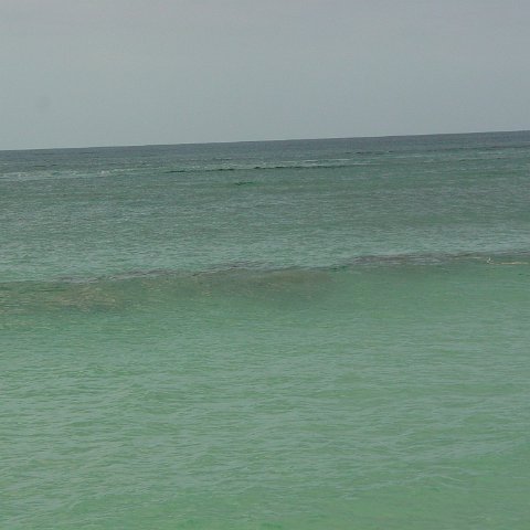 dsc00186 dsc00186
