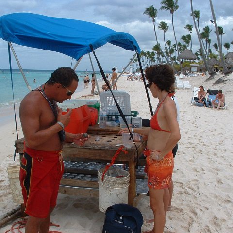 coralpropagation