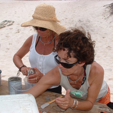 CoralTable