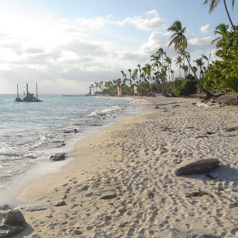 beachviews beachviews