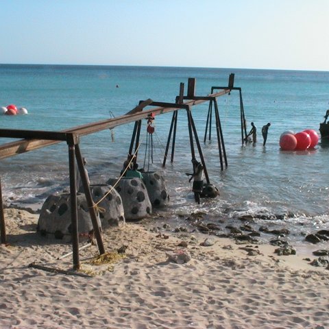 img_0401 img_0401