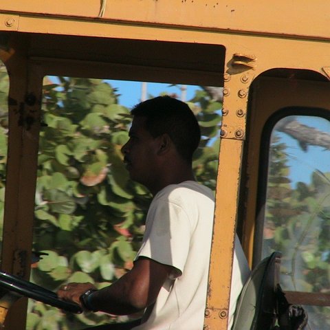 img_0435 img_0435