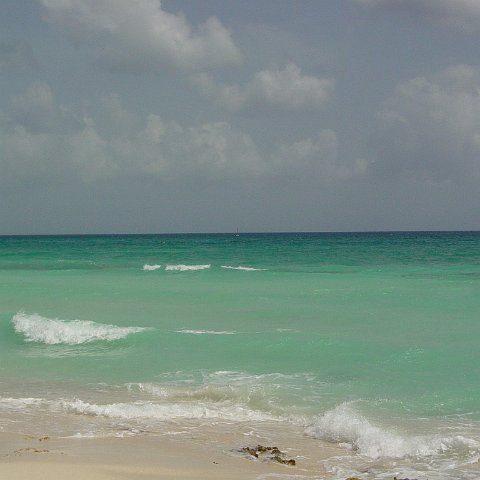 DSC00090 DSC00090