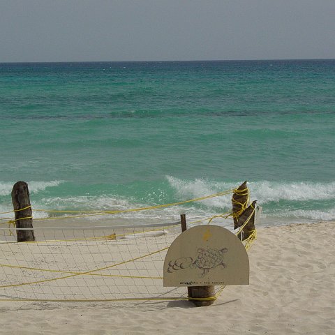 DSC00091 DSC00091