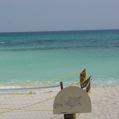 DSC00092 DSC00092