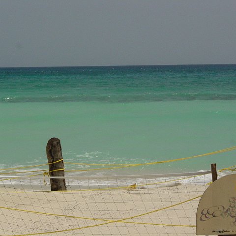 DSC00093 DSC00093