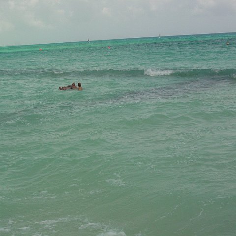 DSC00098 DSC00098
