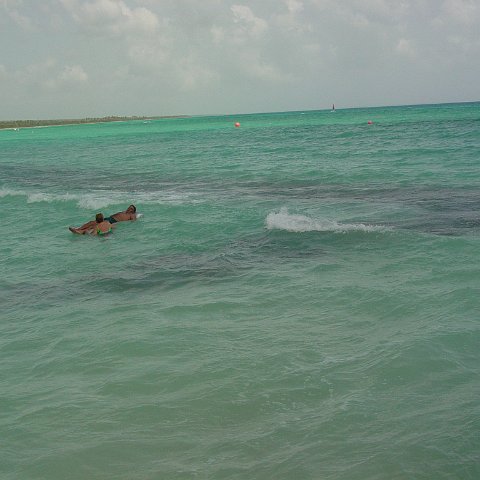 DSC00099 DSC00099