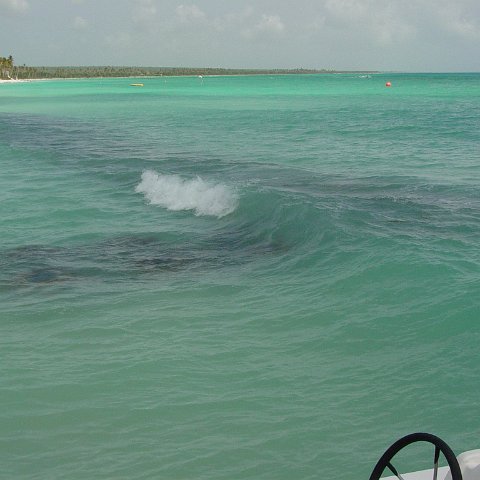 DSC00100 DSC00100