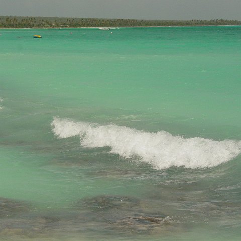 DSC00102 DSC00102