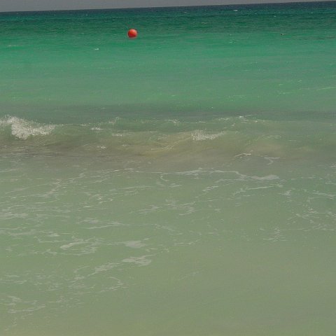 DSC00110 DSC00110