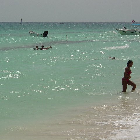 DSC00111 DSC00111