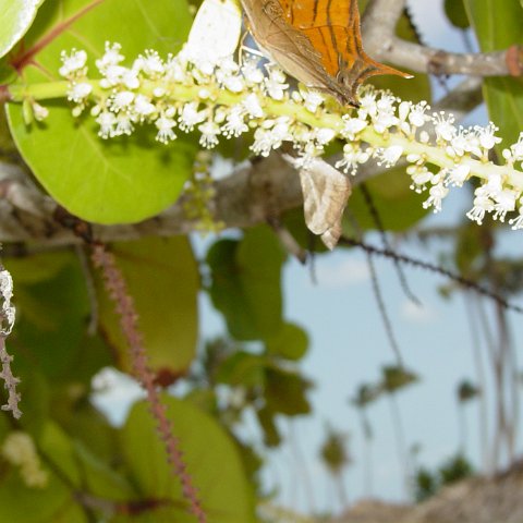 DSC00123 DSC00123