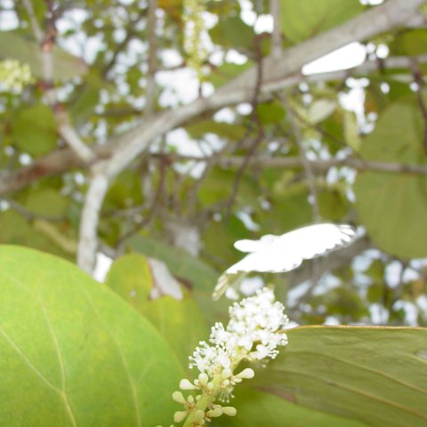 DSC00124 DSC00124