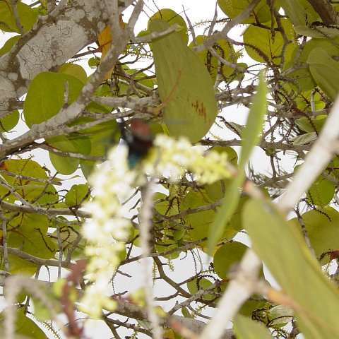 DSC00125 DSC00125