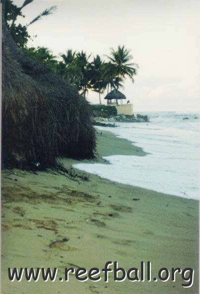 playa,_raiz_coco_hacia_norte_112001