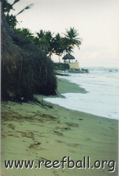 playa,_raiz_coco_hacia_norte_112001 