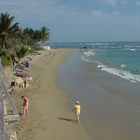 beachviews