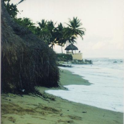 playa,_raiz_coco_hacia_norte_112001 playa,_raiz_coco_hacia_norte_112001