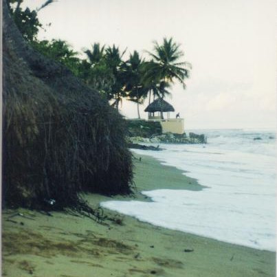 playa,_raiz_coco_hacia_norte_112001