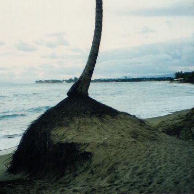 playa_hacia_sur_112001 playa_hacia_sur_112001