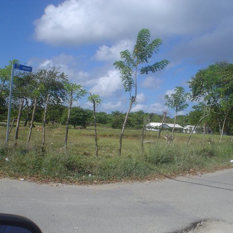 DSC00032 DSC00032