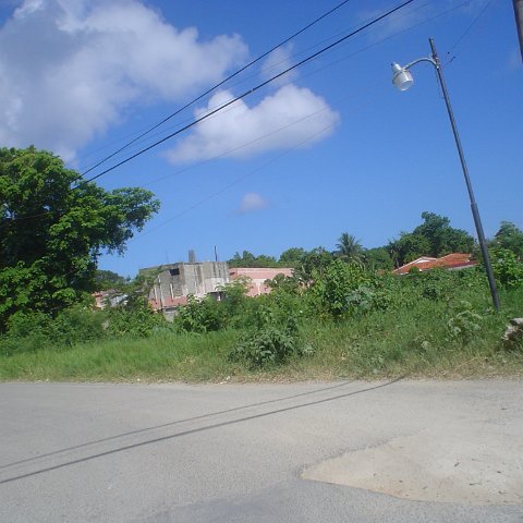 DSC00033 DSC00033
