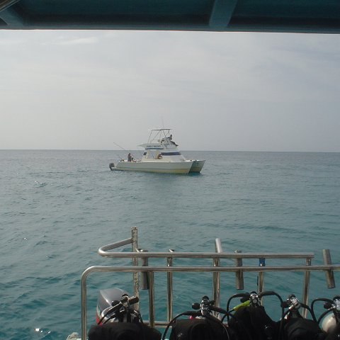 DSC00100 DSC00100