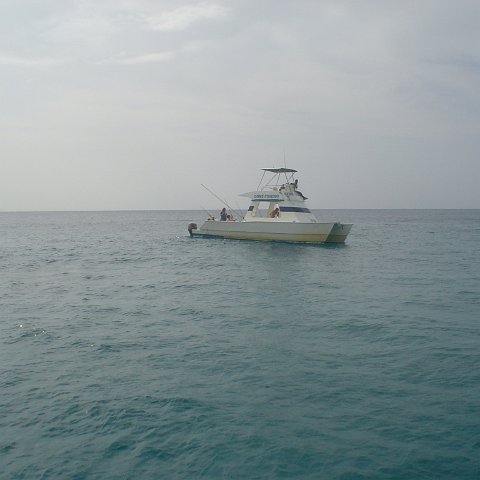 DSC00101 DSC00101