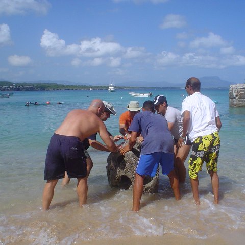 DSC00110 DSC00110