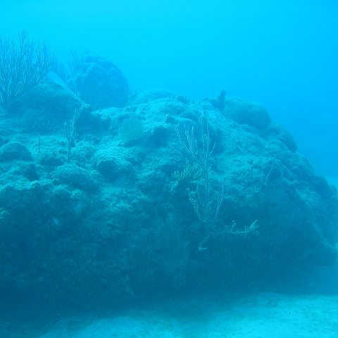 IMG_0773 IMG_0773