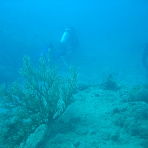 IMG_0853 IMG_0853