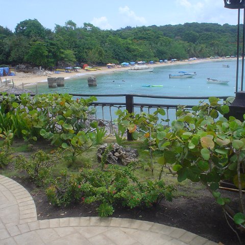 DSC00084 DSC00084