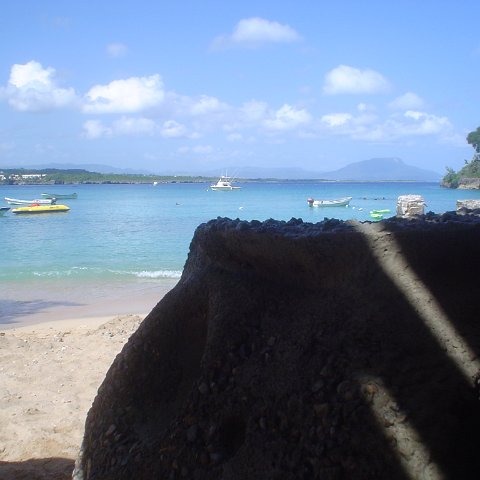 DSC00104 DSC00104