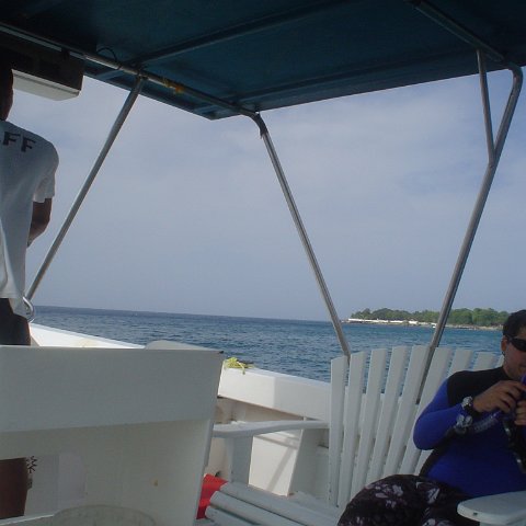 DSC00095 DSC00095