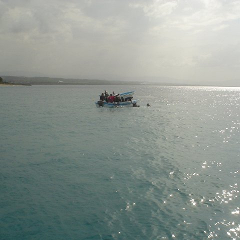 DSC00098 DSC00098