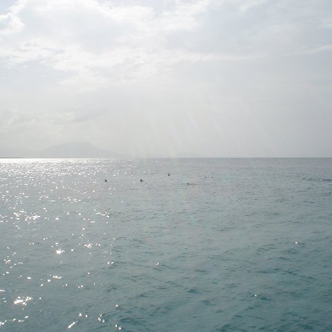 DSC00099 DSC00099