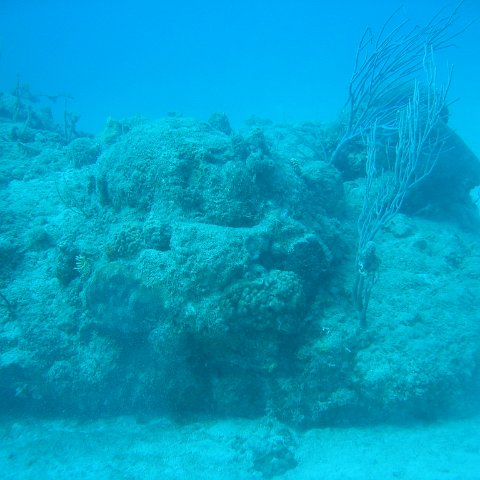 IMG_0774 IMG_0774