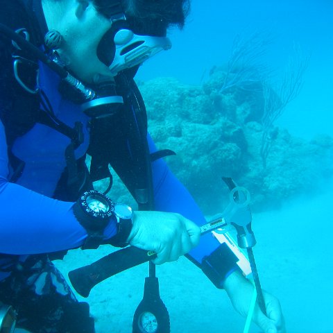 IMG_0775 IMG_0775