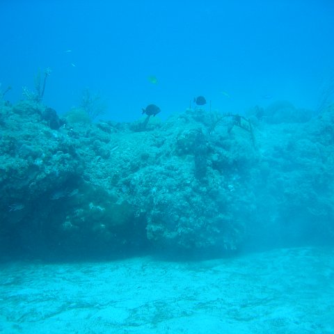 IMG_0776 IMG_0776
