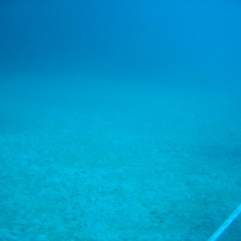 IMG_0778 IMG_0778